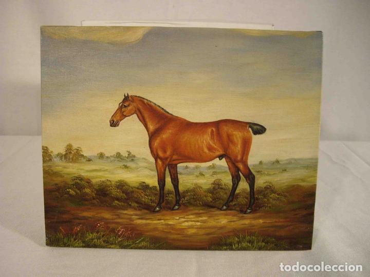 Otros objetos de arte: OLEO SOBRE LIENZO PURASANGRE MARRON II - Foto 1