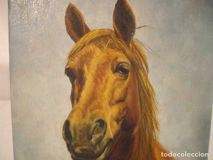 Otros objetos de arte: OLEO SOBRE LIENZO CABEZA CABALLO MARRO - Foto 2