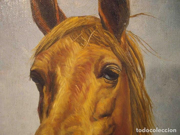 Otros objetos de arte: OLEO SOBRE LIENZO CABEZA CABALLO MARRO - Foto 4