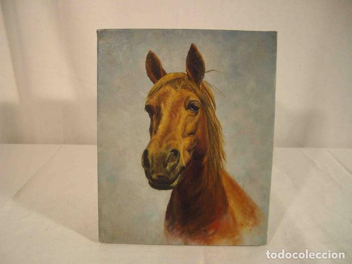 Otros objetos de arte: OLEO SOBRE LIENZO CABEZA CABALLO MARRO - Foto 1