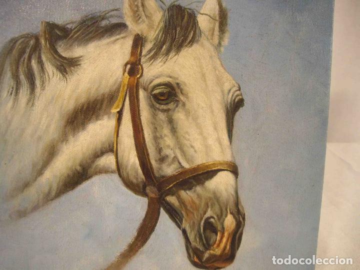 Otros objetos de arte: OLEO SOBRE LIENZO CABEZA CABALLO BLAN - Foto 2