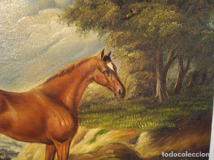 Otros objetos de arte: OLEO SOBRE LIENZO PURASANGRE MARRON - Foto 2