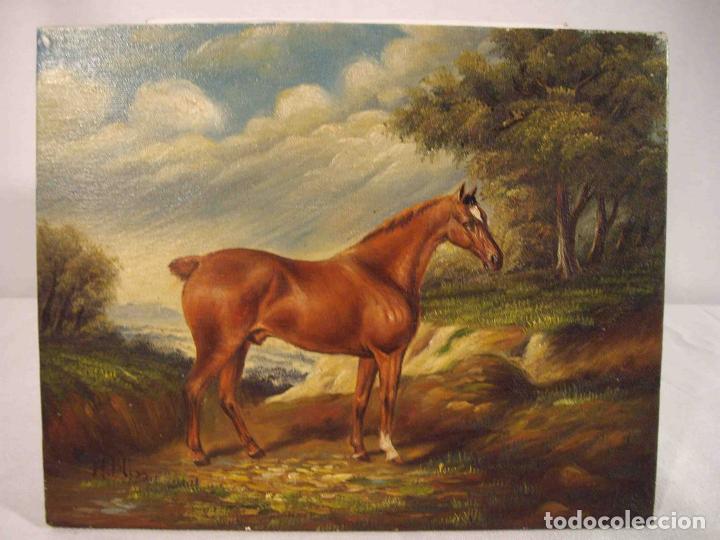 Otros objetos de arte: OLEO SOBRE LIENZO PURASANGRE MARRON - Foto 1