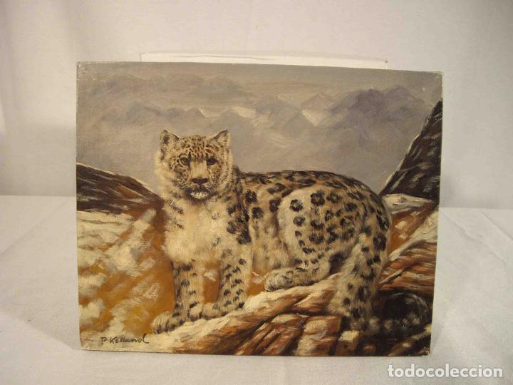 Otros objetos de arte: OLEO SOBRE LIENZO TIIGRE DE LAS NIEVES - Foto 1