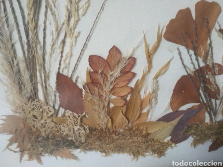 Otros objetos de arte: Cuadro realizado.con flores secas del 93 - Foto 1