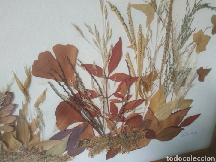 Otros objetos de arte: Cuadro realizado.con flores secas del 93 - Foto 2