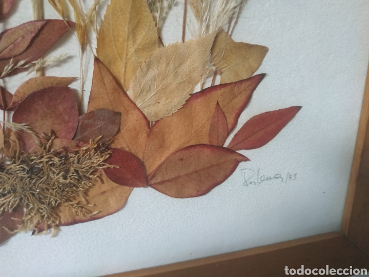 Otros objetos de arte: Cuadro realizado.con flores secas del 93 - Foto 3