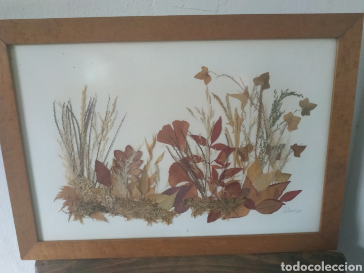 Otros objetos de arte: Cuadro realizado.con flores secas del 93 - Foto 4