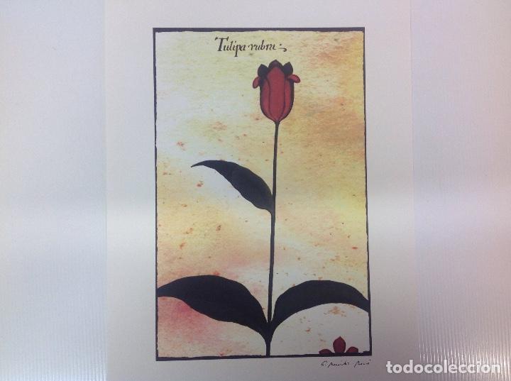 Otros objetos de arte: L&aacute;mina de Carmen Menedez Monc&oacute; - Foto 1