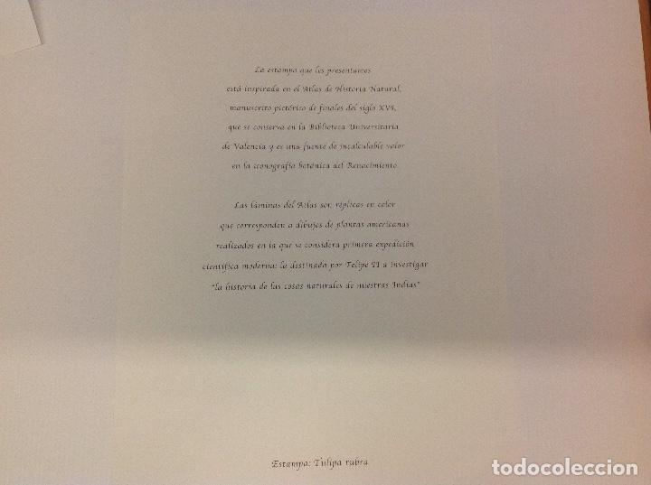 Otros objetos de arte: L&aacute;mina de Carmen Menedez Monc&oacute; - Foto 4