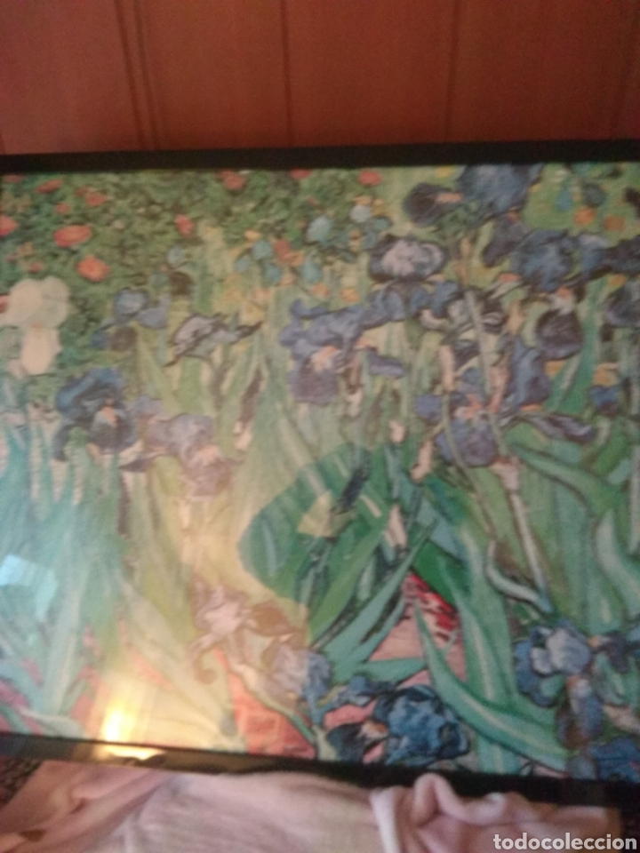 Otros objetos de arte: cuadro lamina iris azules - Foto 2