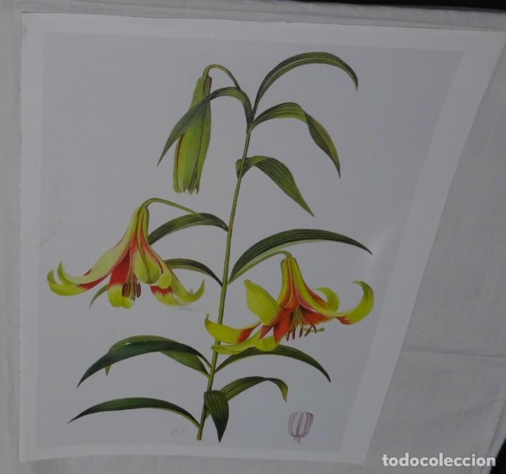 Otros objetos de arte: DOS L&Aacute;MINAS DE COLECCIONES DE EDICIONES JARD&Iacute;N - Foto 2