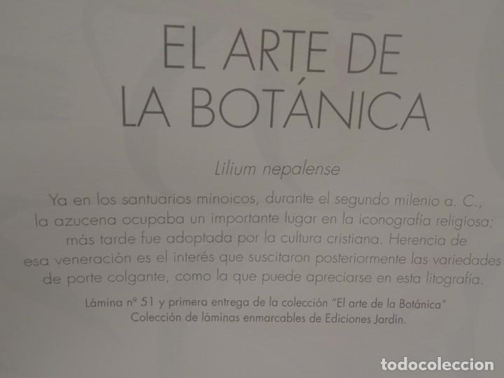 Otros objetos de arte: DOS L&Aacute;MINAS DE COLECCIONES DE EDICIONES JARD&Iacute;N - Foto 3