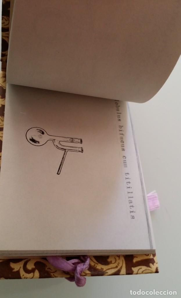 Otros objetos de arte: LEE LOZANO: Thesis, portfolio SMS # 2, 1968 - Foto 10