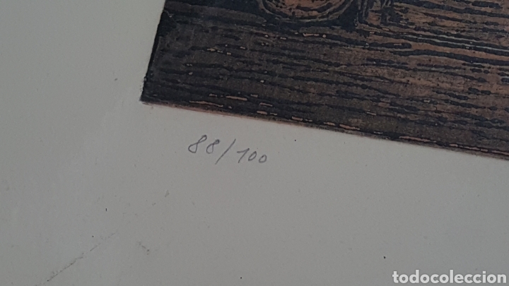 Otros objetos de arte: AGUAFUERTE DE PAVAS &rdquo;PARUD&rdquo; - Foto 3