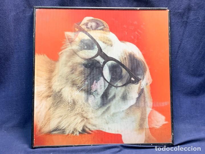 Otros objetos de arte: CUADRO 3D BULLDOG INGLES GATO PERSA 40X41,5CMS - Foto 2