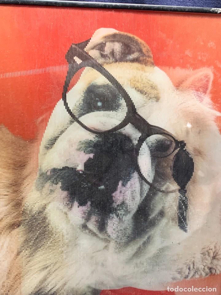 Otros objetos de arte: CUADRO 3D BULLDOG INGLES GATO PERSA 40X41,5CMS - Foto 11