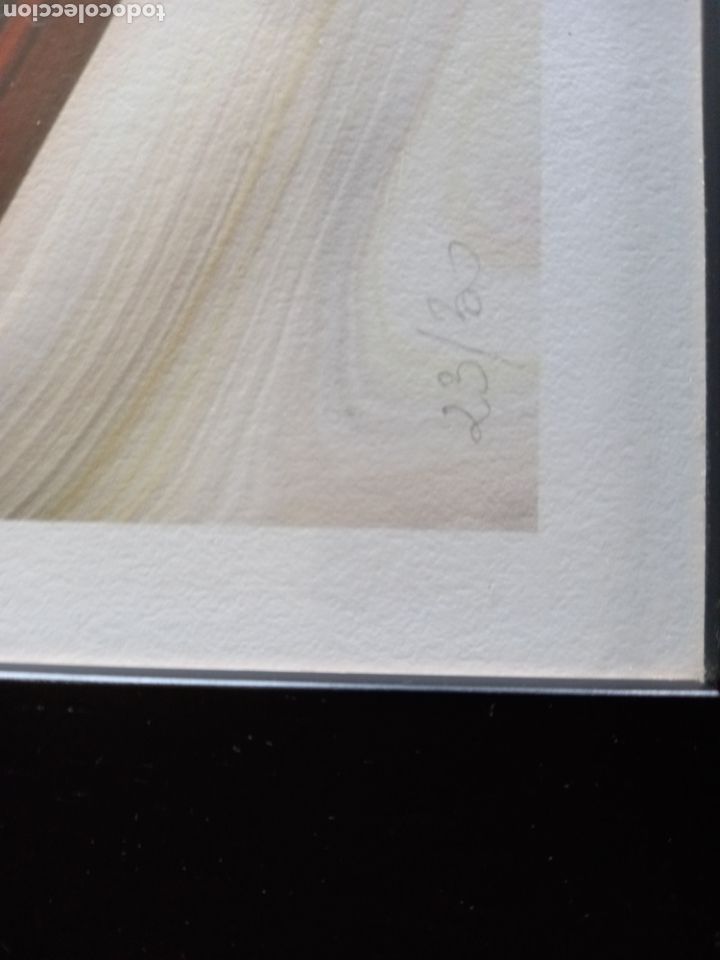 Otros objetos de arte: Camilleri. Art Papel - Foto 3