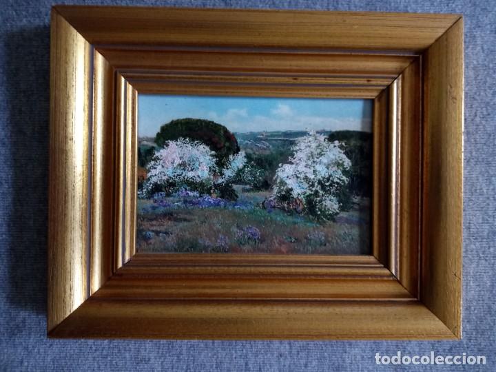 Otros objetos de arte: Cuadro de t&eacute;cnica mixta de almendros en flor. Enmarcado - Foto 1