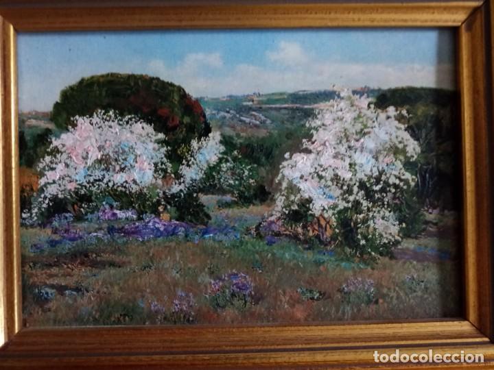Otros objetos de arte: Cuadro de t&eacute;cnica mixta de almendros en flor. Enmarcado - Foto 6