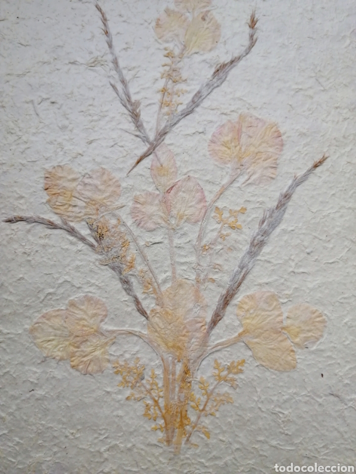 Otros objetos de arte: PAPEL ANTAIMORO. HECHO A MANO CON FLORES NATURALES.ENVIO CERTIFICADO INCLUIDO. - Foto 3