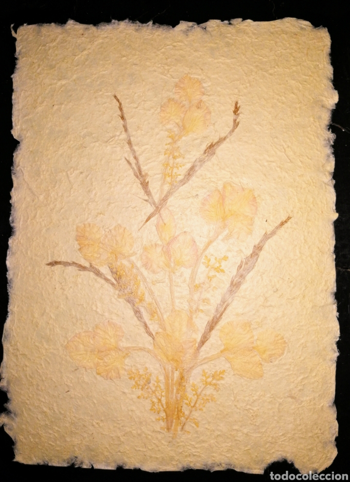 Otros objetos de arte: PAPEL ANTAIMORO. HECHO A MANO CON FLORES NATURALES.ENVIO CERTIFICADO INCLUIDO. - Foto 4