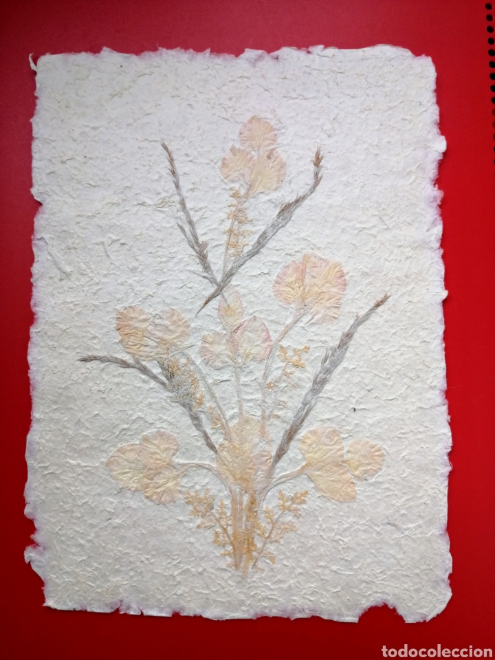 Otros objetos de arte: PAPEL ANTAIMORO. HECHO A MANO CON FLORES NATURALES.ENVIO CERTIFICADO INCLUIDO. - Foto 5