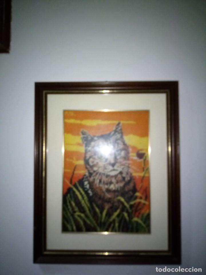Otros objetos de arte: CUADRO GATO, BORDADO / 34X42 / AA604 / CON MARCO - Foto 1
