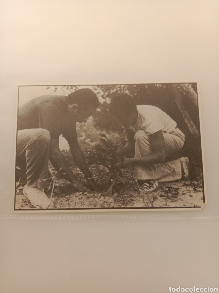 Otros objetos de arte: Postal inauguraci&oacute;n Arranz Bravo Bartolozzi - Foto 1
