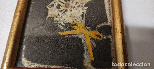 Otros objetos de arte: ANTIGUO CUADRO CON FLORES EDELWEISS - Foto 2