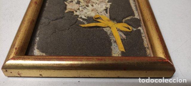 Otros objetos de arte: ANTIGUO CUADRO CON FLORES EDELWEISS - Foto 3