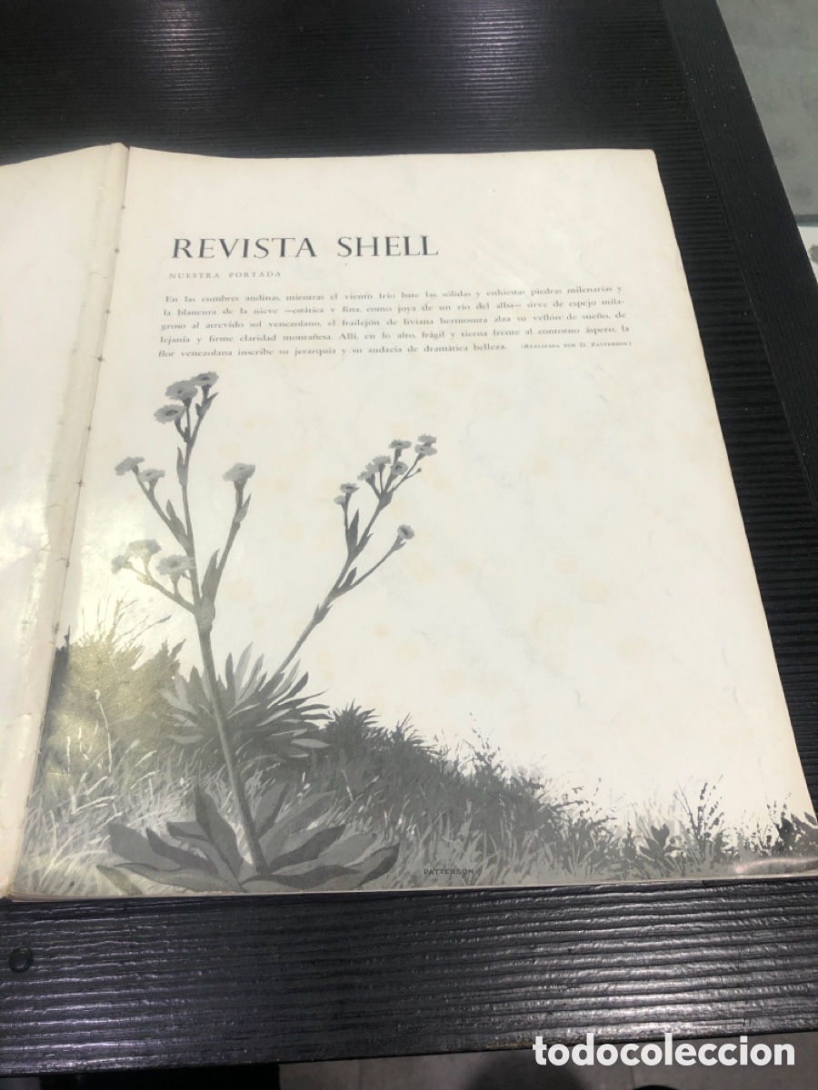Otros objetos de arte: Revista Shell con dibujo (L50) - Foto 1