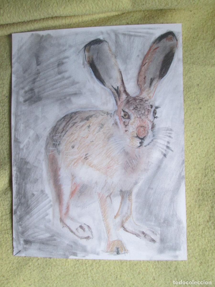 Otros objetos de arte: LIEBRE - GRAFITO MIXTO - Foto 1