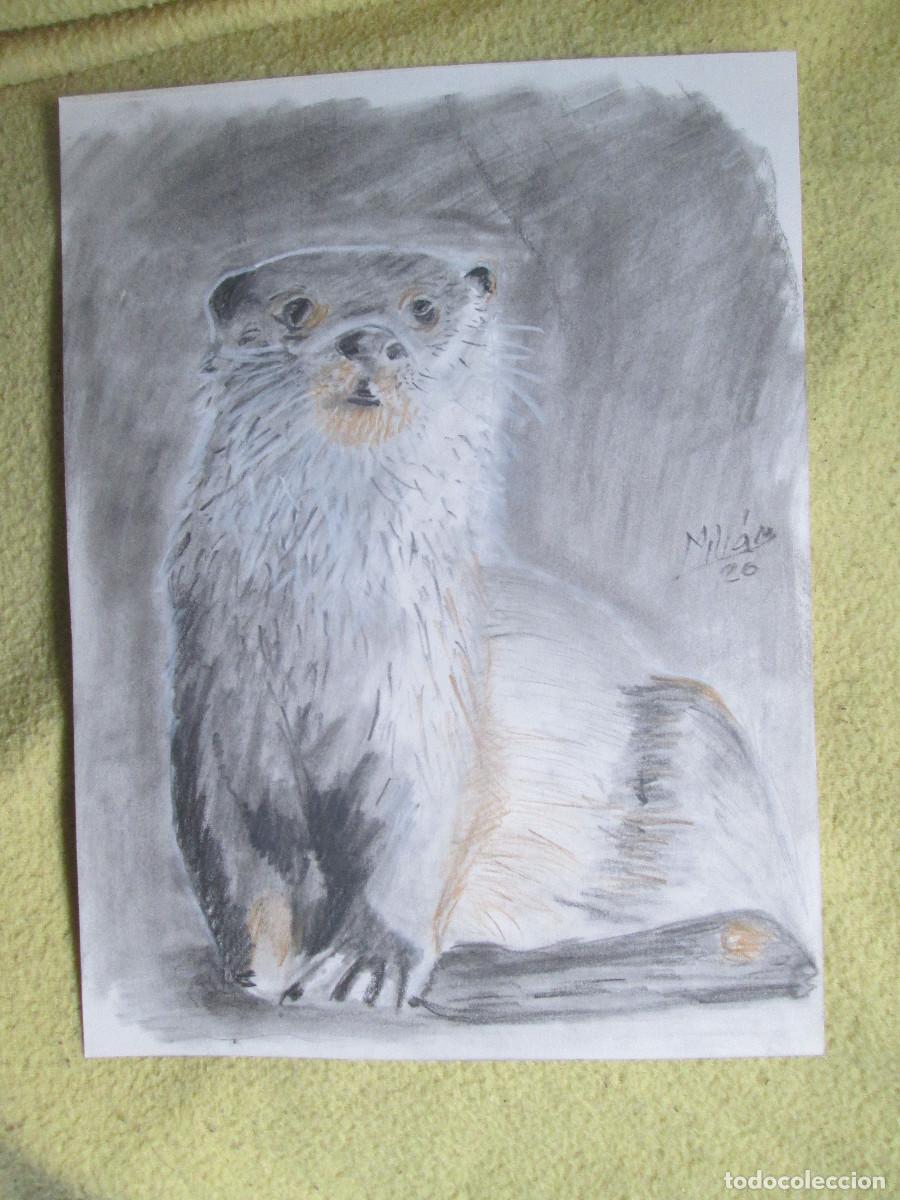 Otros objetos de arte: NUTRIA - GRAFITO MIXTO - Foto 1