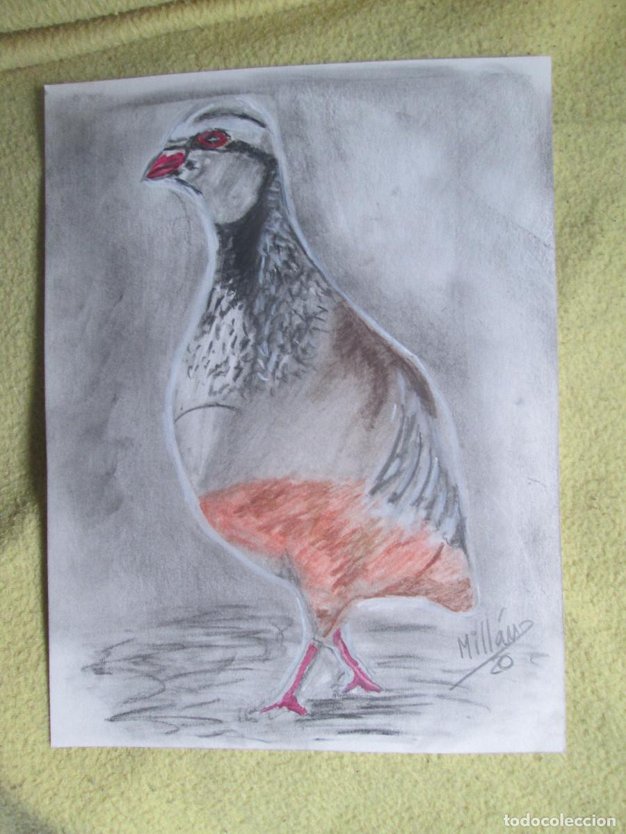 Otros objetos de arte: PERDIZ - GRAFITO MIXTO - Foto 1