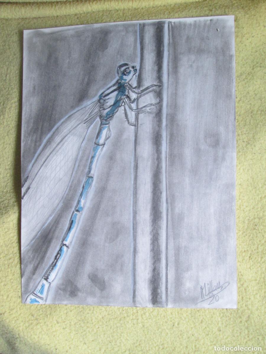 Otros objetos de arte: LIBELULA - GRAFITO MIXTO - Foto 1