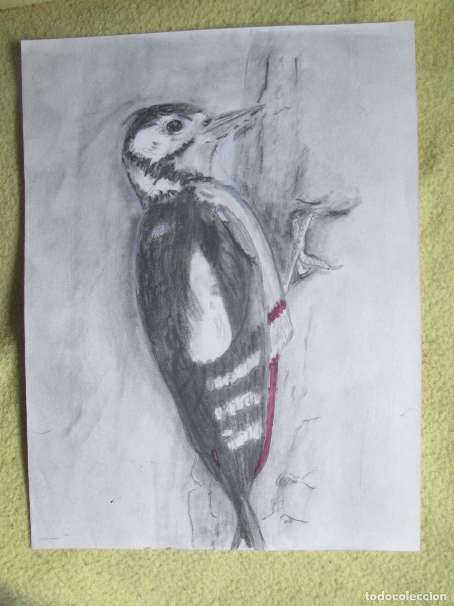 Otros objetos de arte: PAJARO CARPINTERO - GRAFITO MIXTO - Foto 1