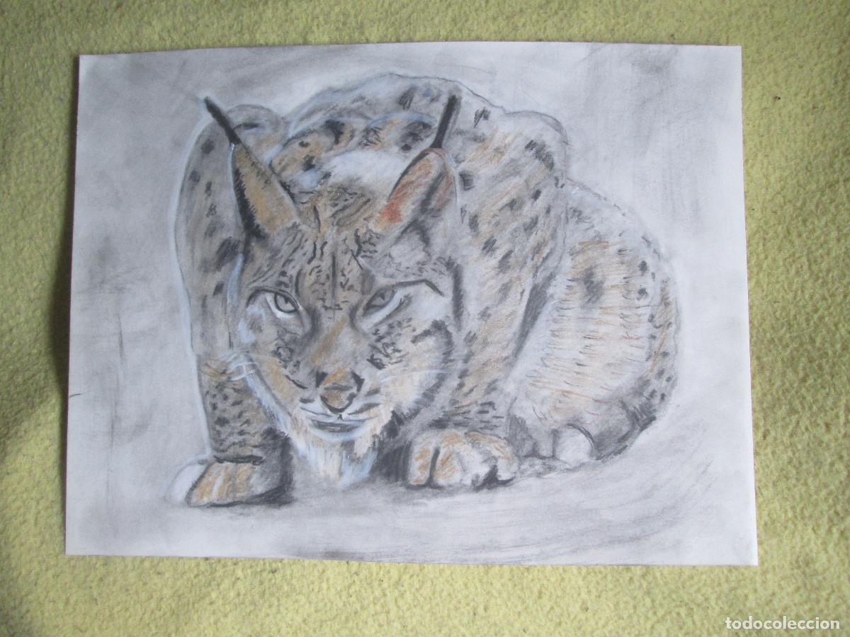 Otros objetos de arte: LINCE IBERICO - GRAFITO MIXTO - Foto 1