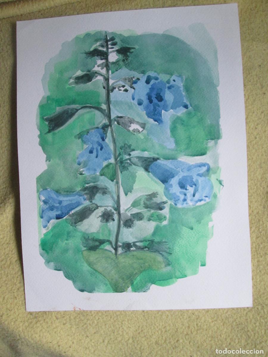 Otros objetos de arte: CAMPANILLAS - ACUARELA - Foto 1
