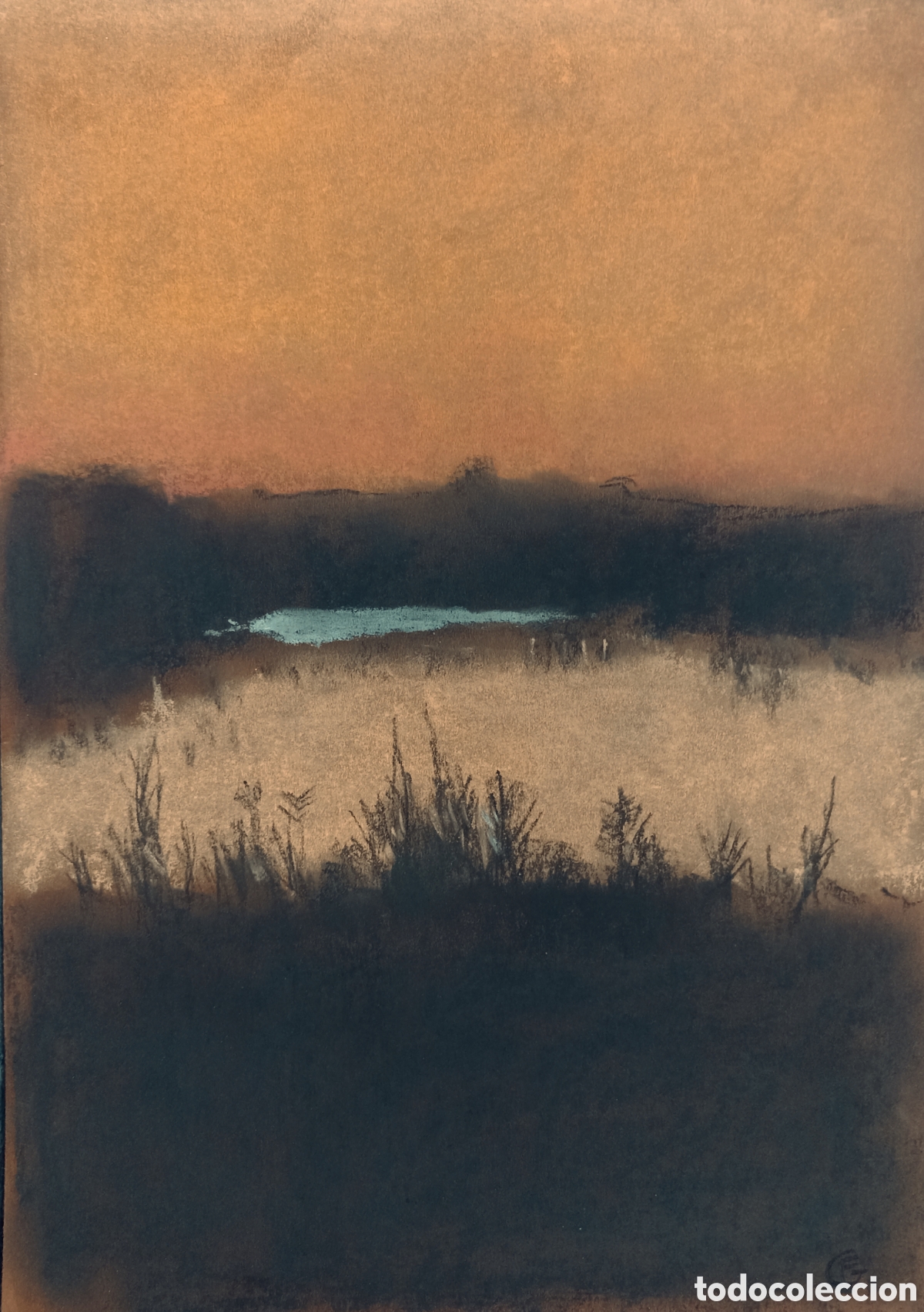 Otros objetos de arte: Pastel original &rdquo;Do&ntilde;ana al atardecer&rdquo; - Foto 1