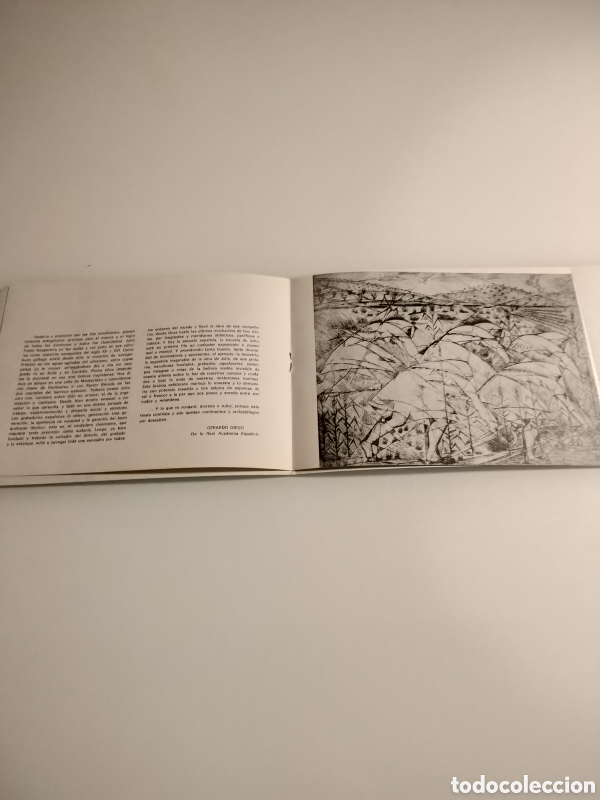 Otros objetos de arte: Folleto Prieto Nespereira. - Foto 2
