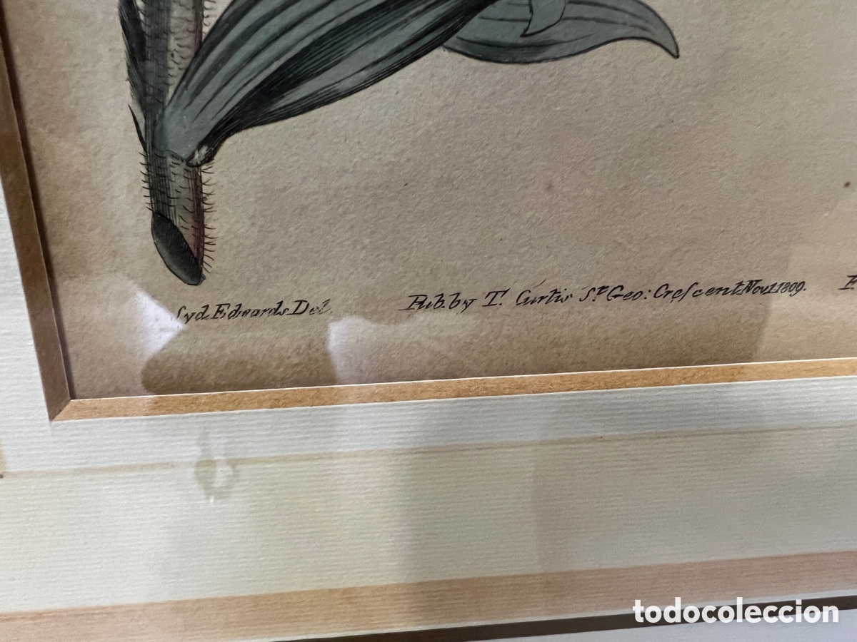 Otros objetos de arte: Lote de 2 aguafuertes antiguos ,certificado - Foto 5