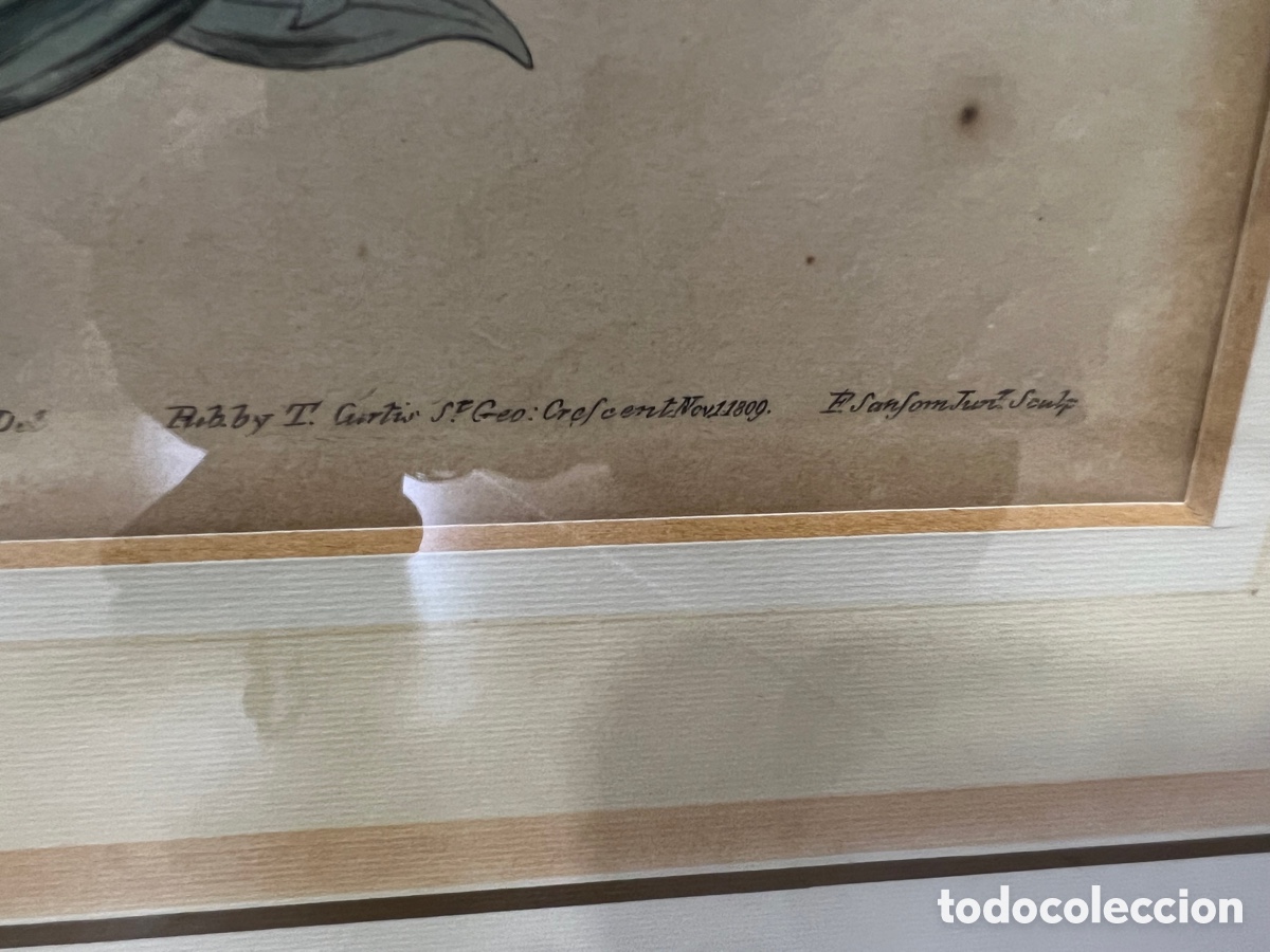 Otros objetos de arte: Lote de 2 aguafuertes antiguos ,certificado - Foto 6