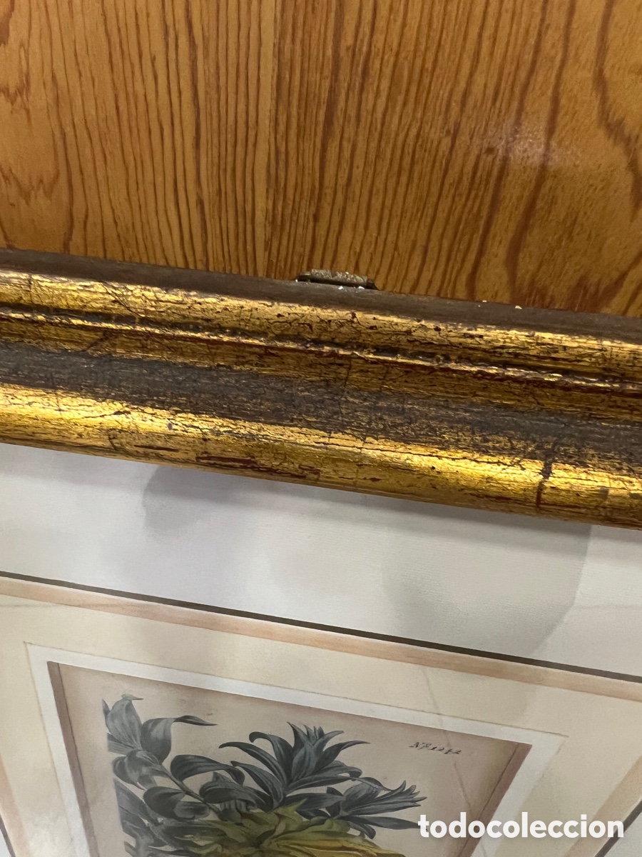 Otros objetos de arte: Lote de 2 aguafuertes antiguos ,certificado - Foto 8