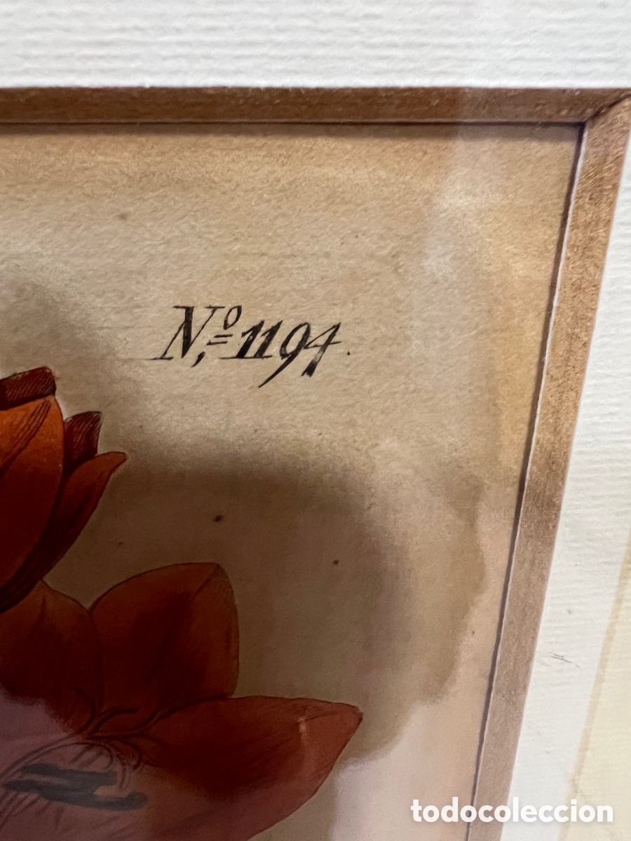 Otros objetos de arte: Lote de 2 aguafuertes antiguos ,certificado - Foto 11