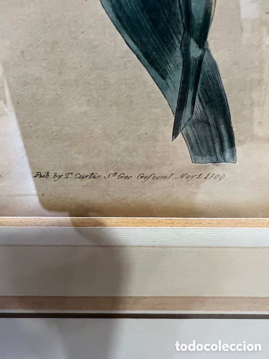 Otros objetos de arte: Lote de 2 aguafuertes antiguos ,certificado - Foto 13