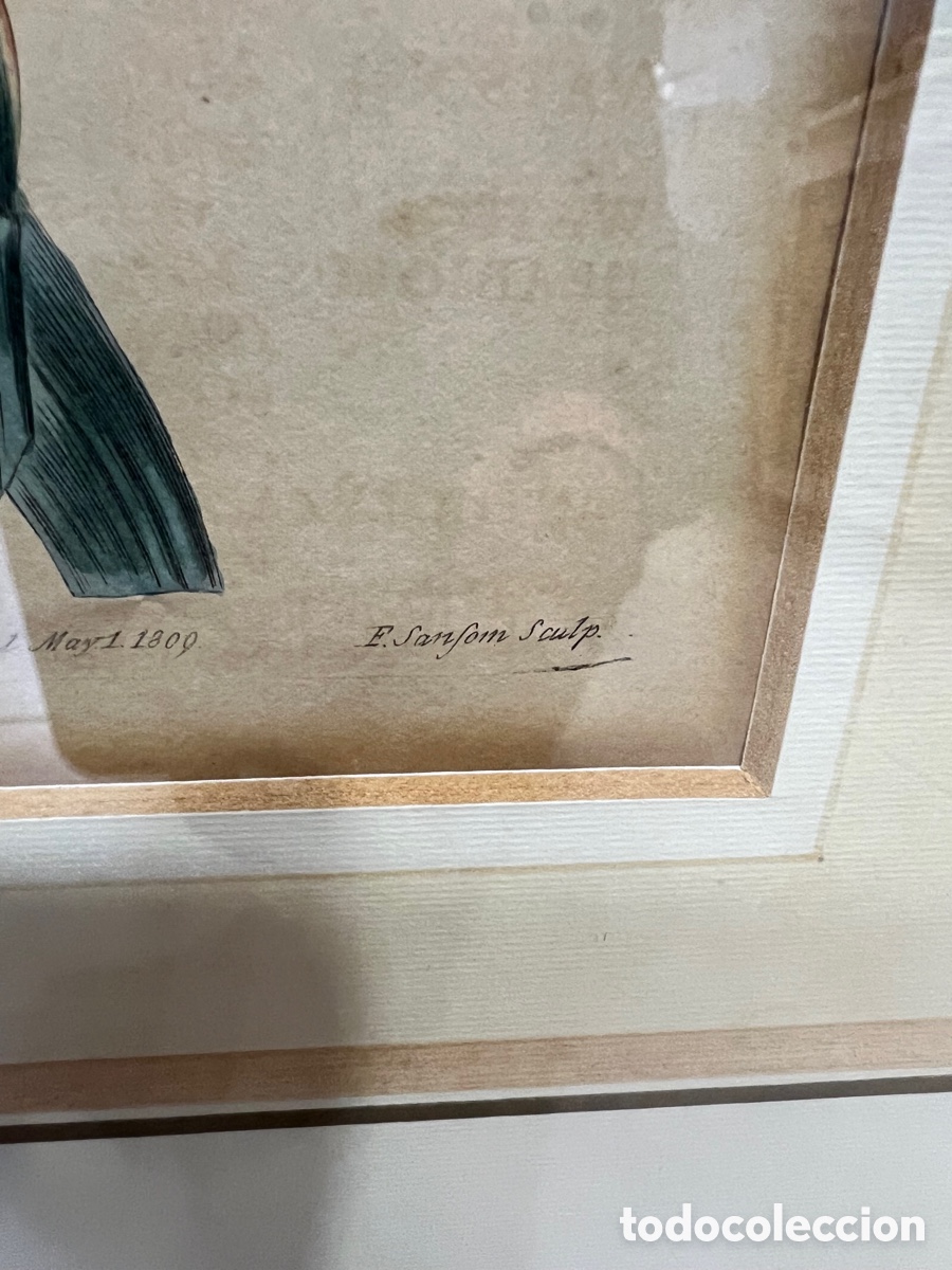 Otros objetos de arte: Lote de 2 aguafuertes antiguos ,certificado - Foto 14