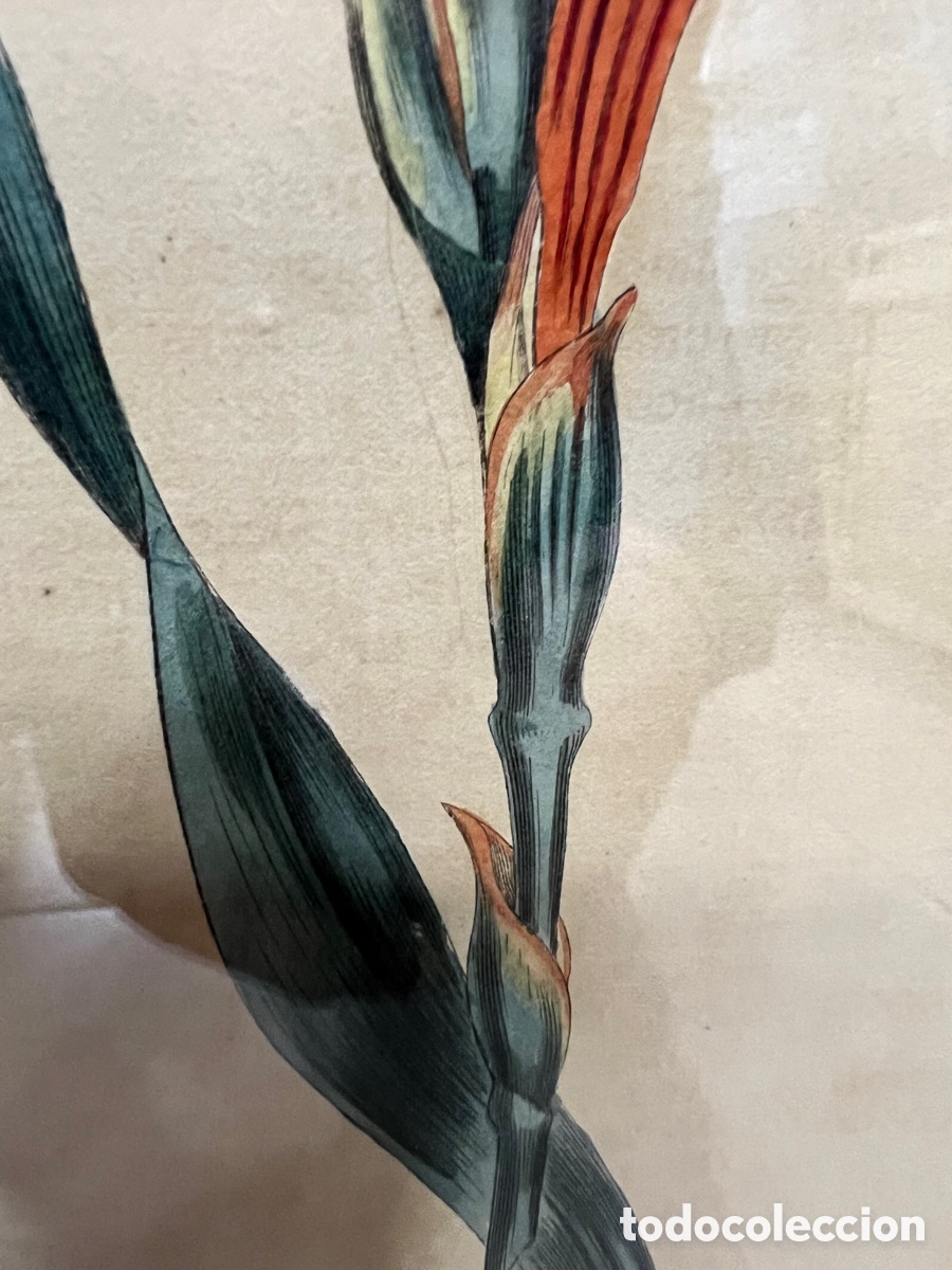 Otros objetos de arte: Lote de 2 aguafuertes antiguos ,certificado - Foto 15