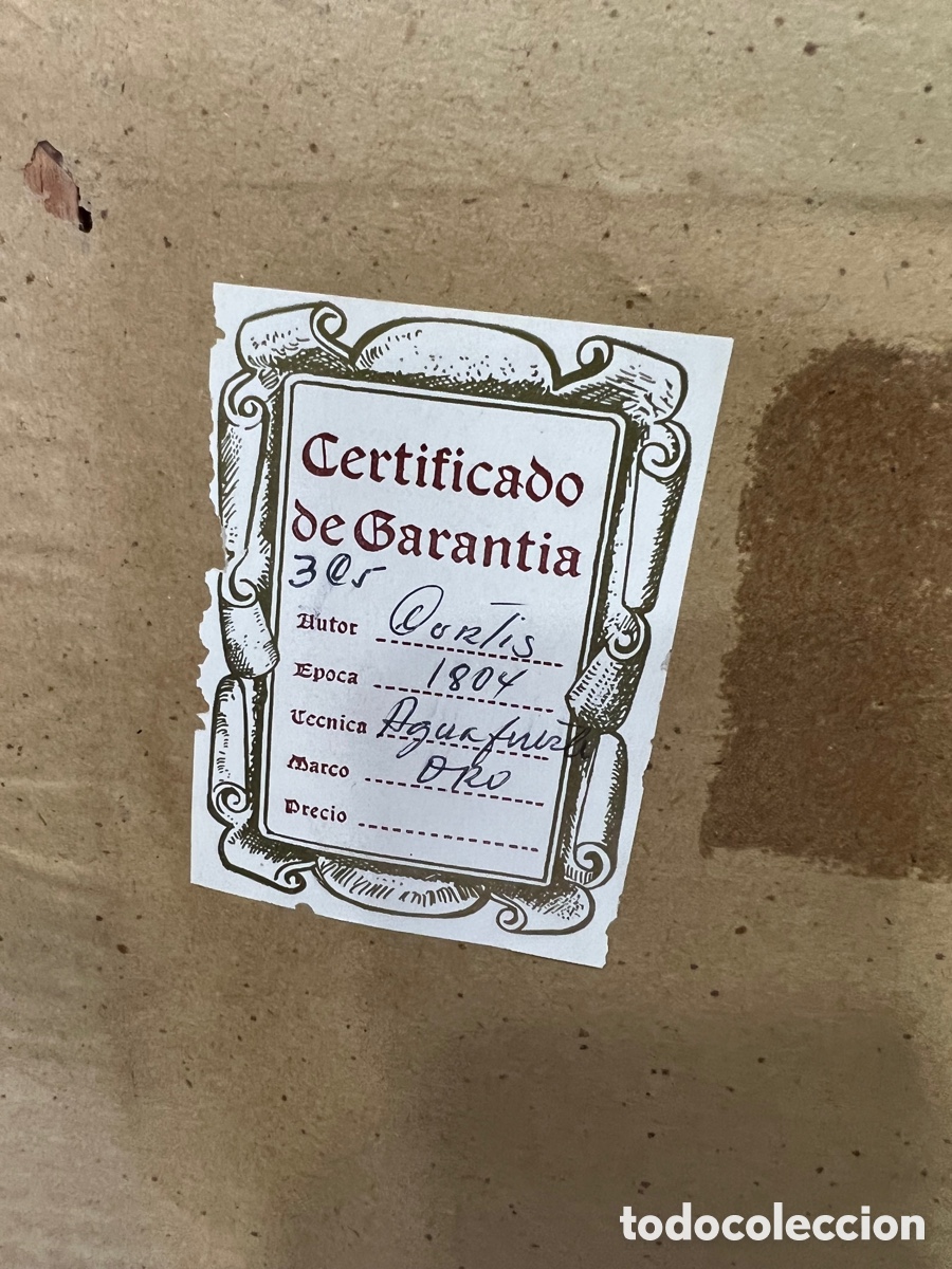 Otros objetos de arte: Lote de 2 aguafuertes antiguos ,certificado - Foto 17