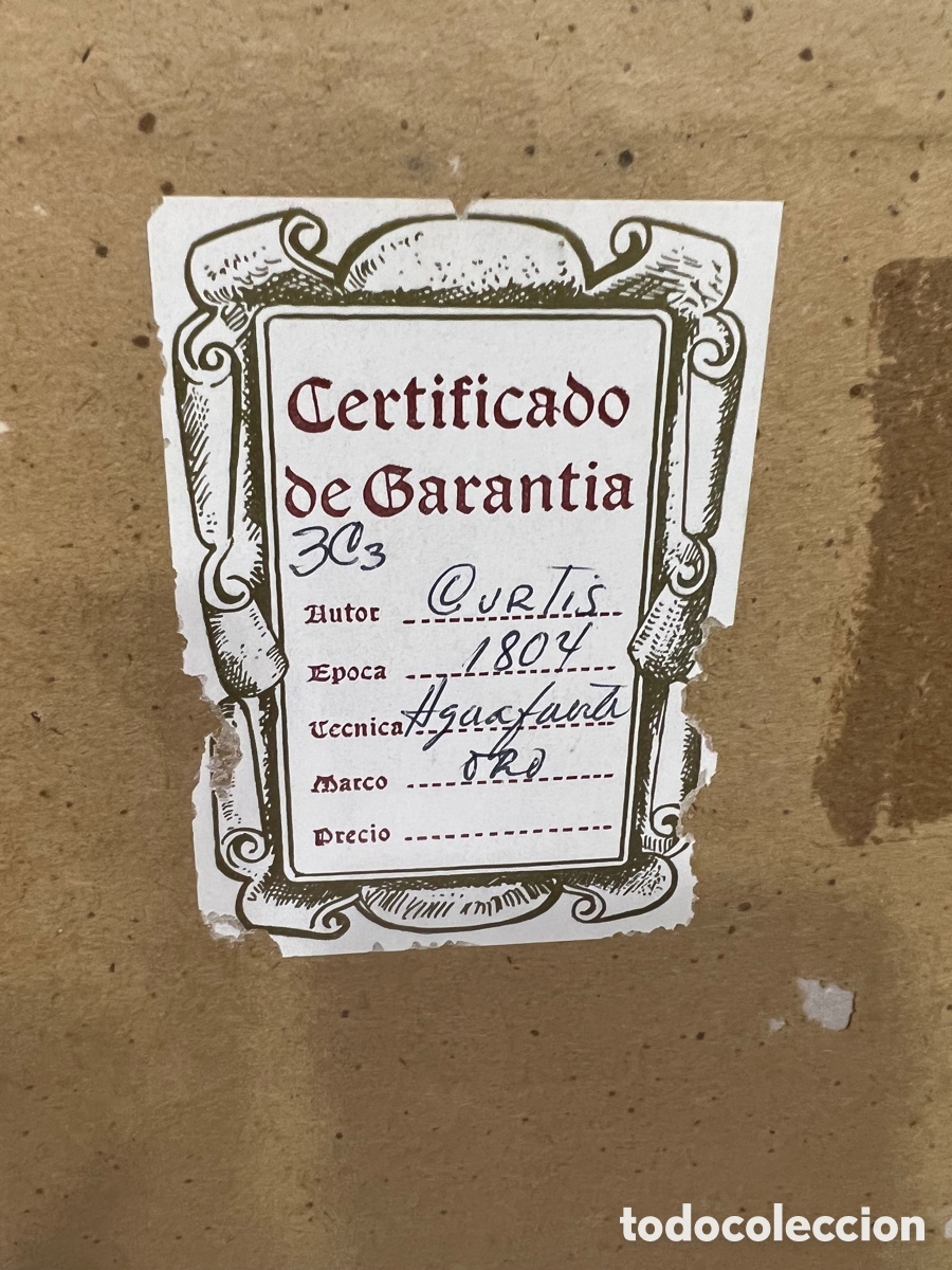 Otros objetos de arte: Lote de 2 aguafuertes antiguos ,certificado - Foto 18